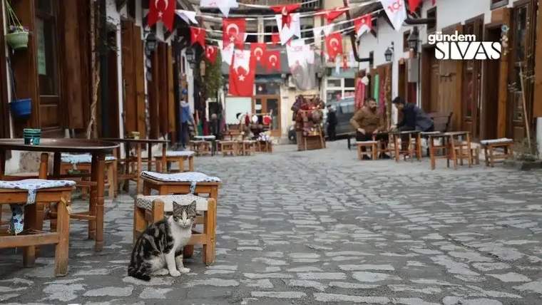 Türk bayraklarıyla süslenmiş taş döşeli sokakta masa ve sandalyeler, oturan insanlar ve bir kedi görülüyor.