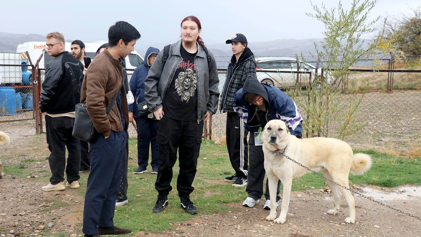 Erasmus öğrencileri Sivas’ta Kangal köpekleriyle tanıştı