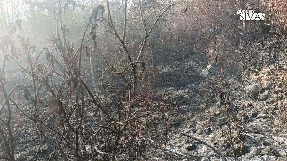 Asırlık Ceviz Ağaçları Kül Oldu
