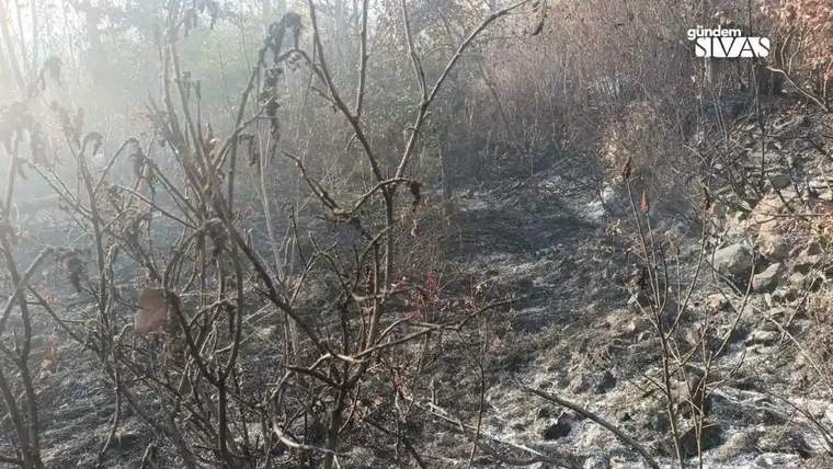 Küllerle kaplı bir alan, yanmış ağaç kalıntıları ve kurumuş bitkiler görünüyor.