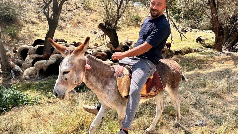 Ankara’da Kaybolan Eşek Yediemin Otoparkına Çekildi