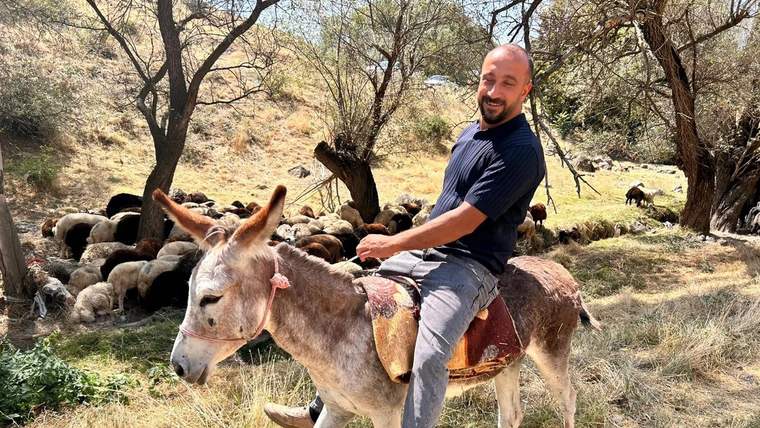 Sakallı bir adam, kuru otlarla kaplı ağaçlık alanda eşeğe binmiş; arkada koyun sürüsü görülüyor.