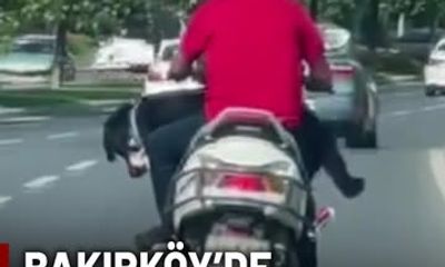 Bakırköy'de Trafikte Köpek Taşıyan Motosikletli Panik Yarattı