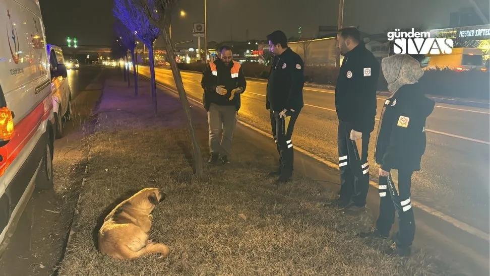 Sağlık Çalışanları Yağmurda Dakikalarca Bekledi