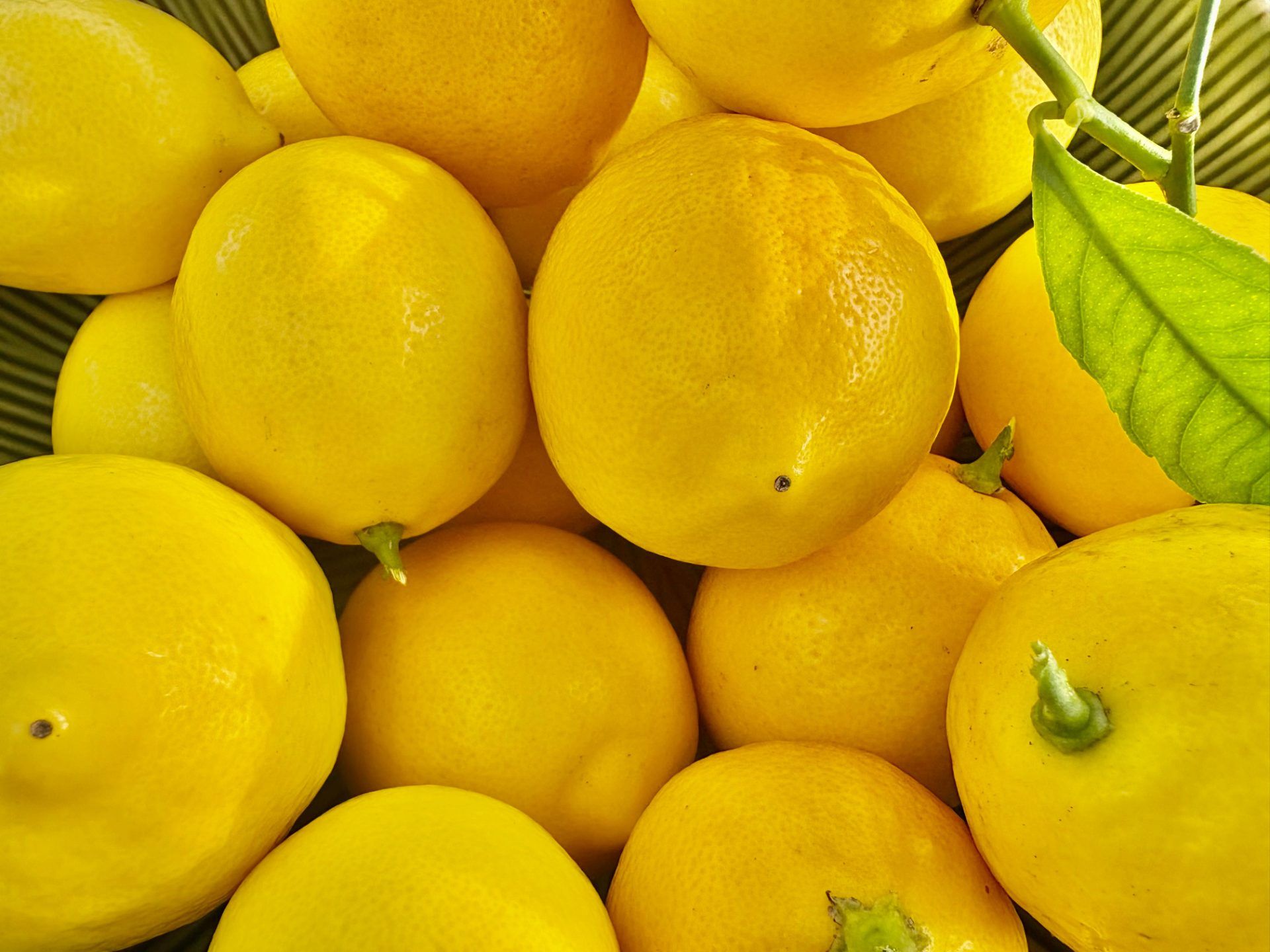 Üreticide 10 TL Olan Limon Markette 84,84 TL