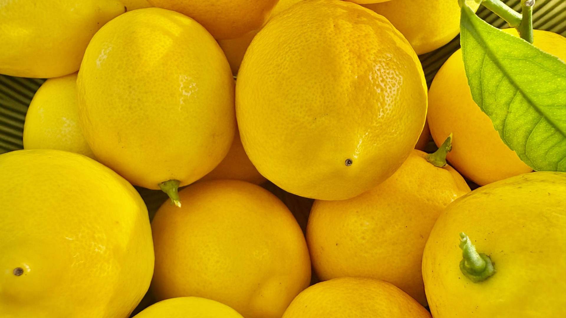 TZOB’nin ağustos araştırmasında limonun üretici ve market fiyatı arasındaki makas yüzde 748,4’e çıktı.