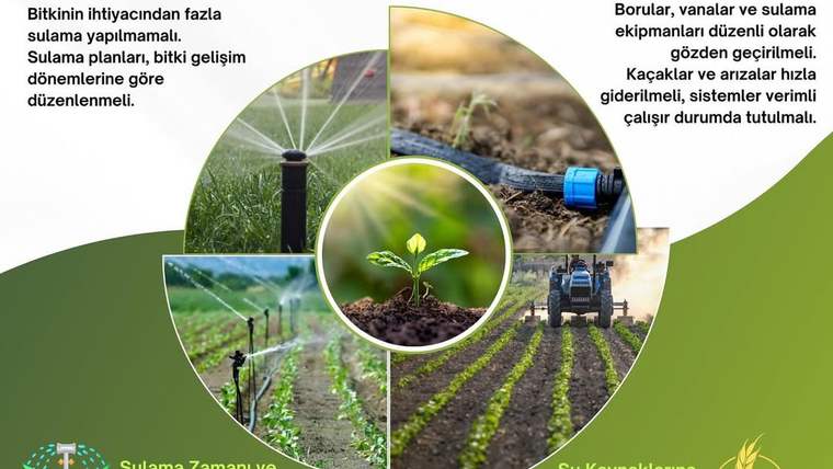 Sulama sistemleri, filizlenen bitki ve ekili tarlaların yer aldığı, su verimliliğini anlatan dairesel infografik.