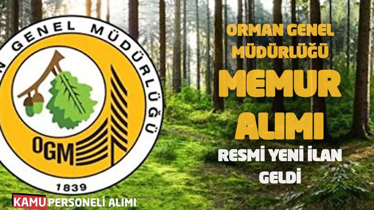 OGM 12 Müfettiş Yardımcısı Alacak: Başvuru Şartları