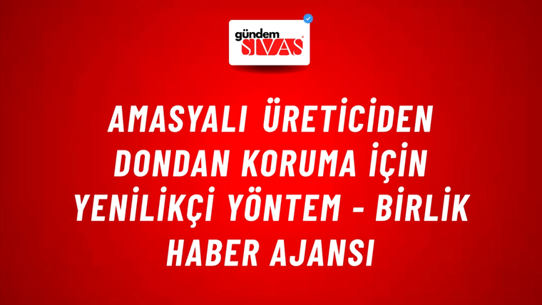 Amasyalı üreticiden dondan koruma için yenilikçi yöntem - Birlik Haber Ajansı