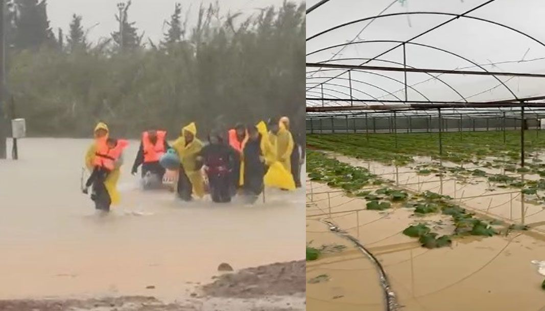 Antalya'da sel ve dolu seraları vurdu