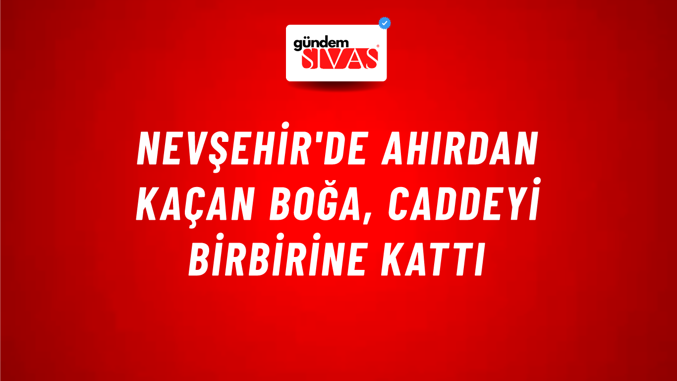 Nevşehir'de Ahırdan Kaçan Boğa, Caddeyi Birbirine Kattı