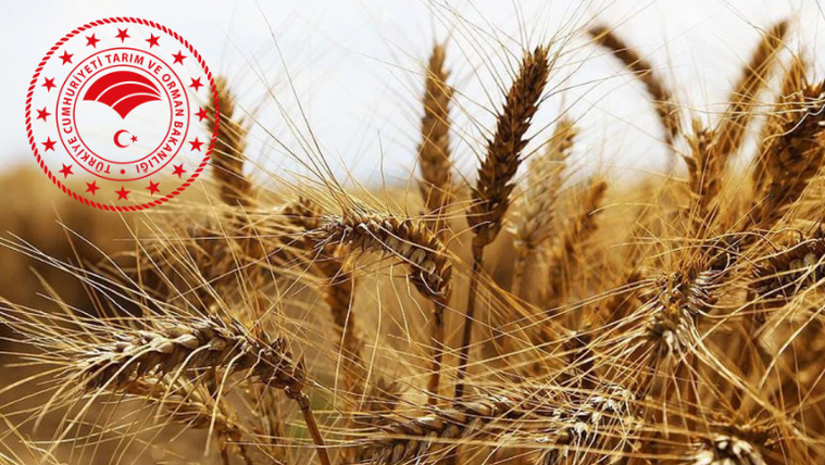 Tarım sigortasında yüzde 10 prim indirimi ve yeni düzenlemeler