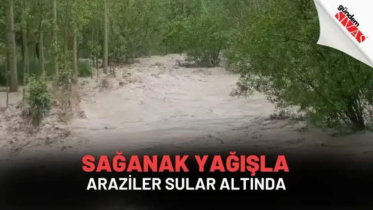 Yeşil ağaçların arasında, suyla dolmuş araziler görünmekte.