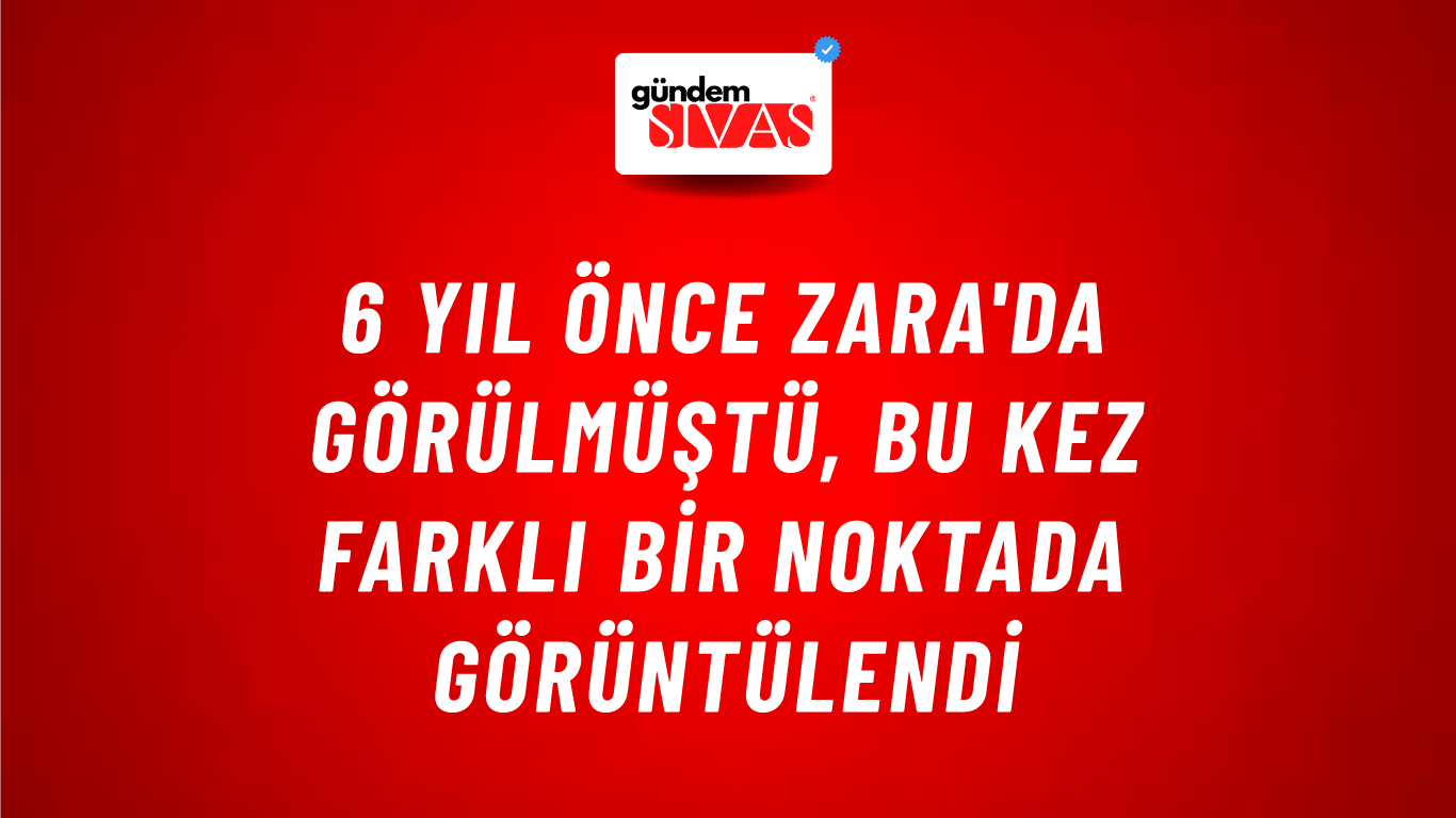 6 Yıl Önce Zara'da Görülmüştü, Bu Kez Farklı Bir Noktada Görüntülendi