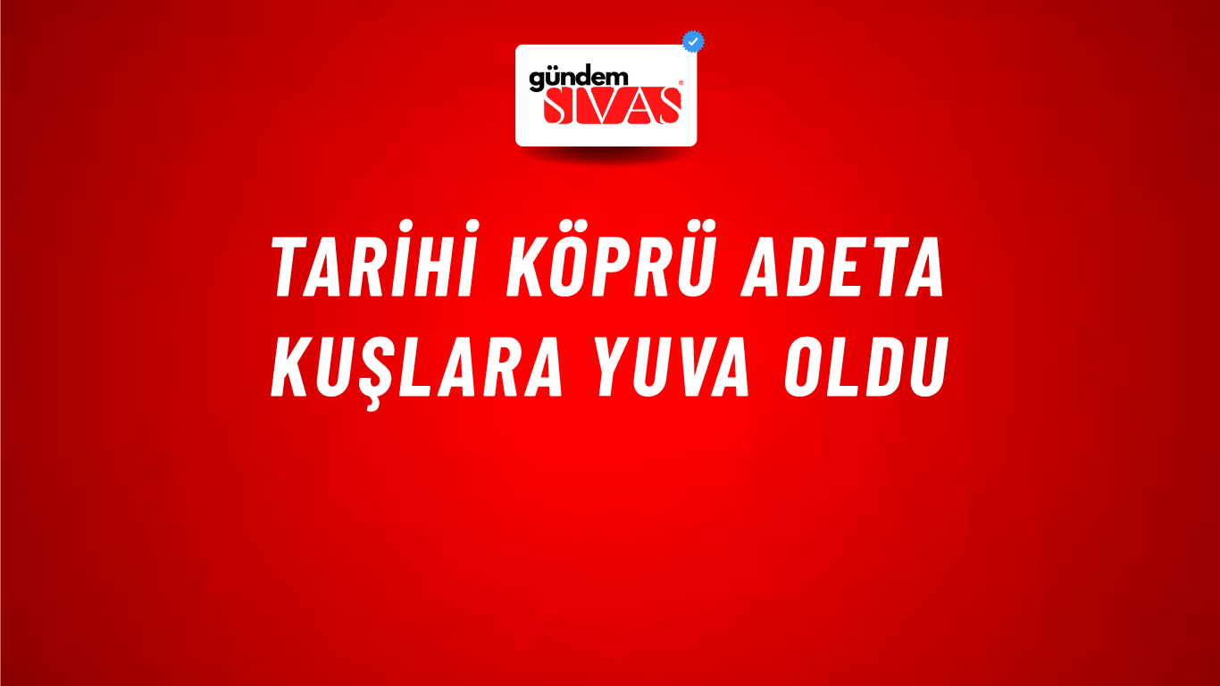 Tarihi Köprü Adeta Kuşlara Yuva Oldu