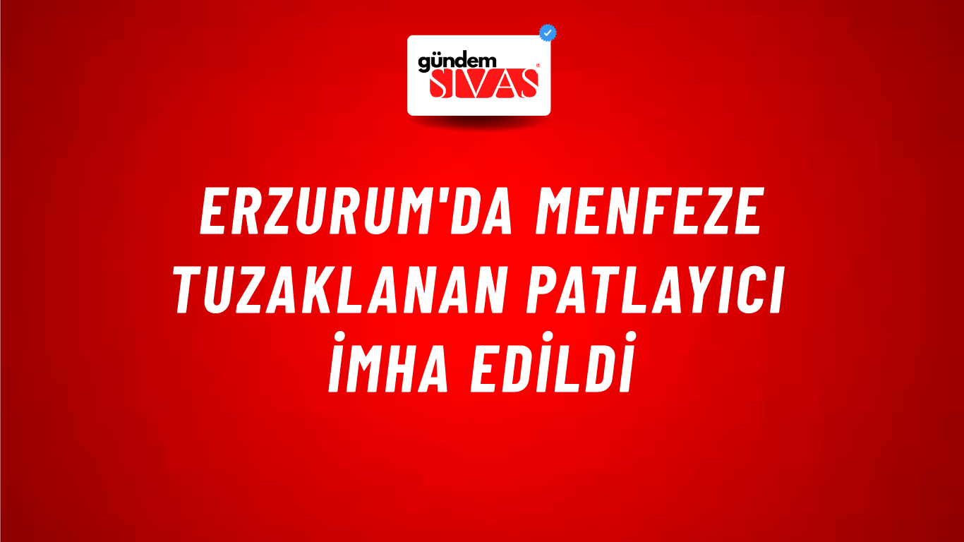Erzurum'da menfeze tuzaklanan patlayıcı imha edildi