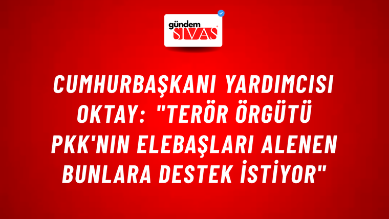 Cumhurbaşkanı Yardımcısı Oktay: "Terör Örgütü PKK'nın Elebaşları Alenen Bunlara Destek İstiyor"