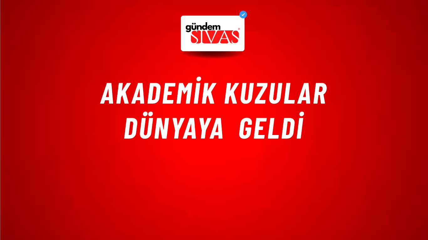 Akademik Kuzular Dünyaya Geldi