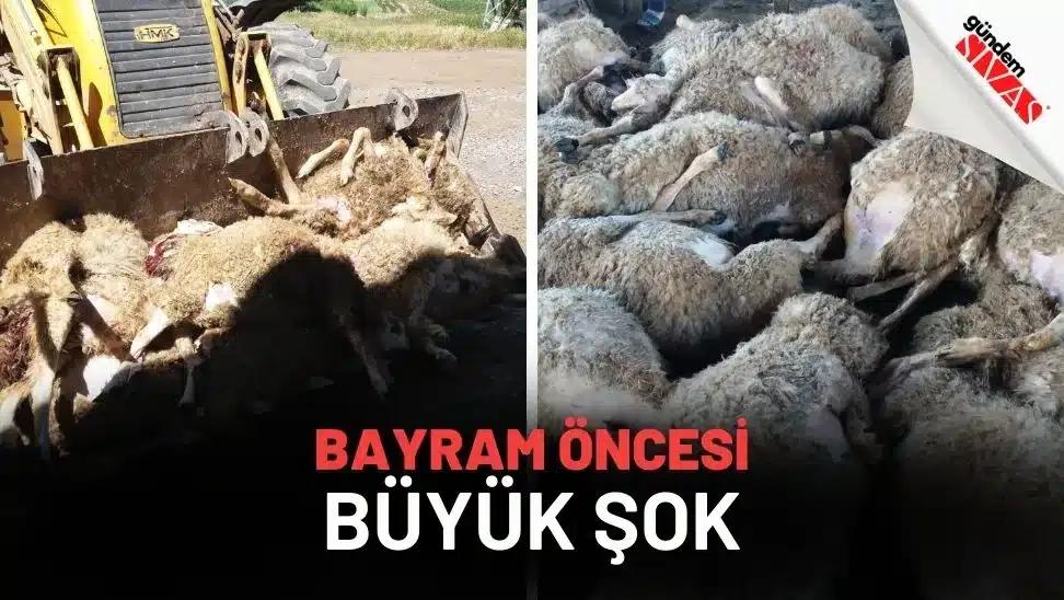 Kurban Bayram'ı Öncesi Büyük Şok