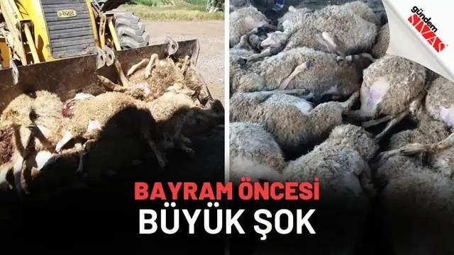 Kurban Bayram'ı Öncesi Büyük Şok