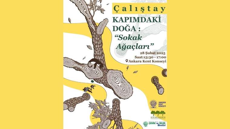 Yenilenmeyen sokak ağaçları için çalıştay düzenleniyor: AKK’den "Kapımdaki Doğa" çalıştayı - Birlik Haber Ajansı