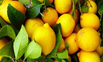 Limon ihracatına geçici durdurma kararı alındı - Birlik Haber Ajansı