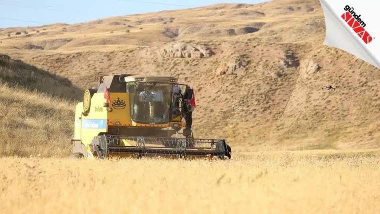 Tarlada çalışan bir biçerdöver, sarı buğday başakları arasında ilerliyor.
