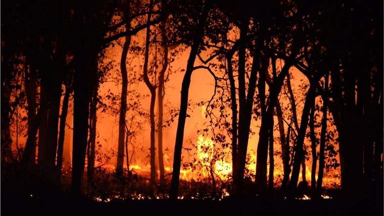 Los Angeles'taki yangına kundaklama şüphesiyle gözaltı - Birlik Haber Ajansı