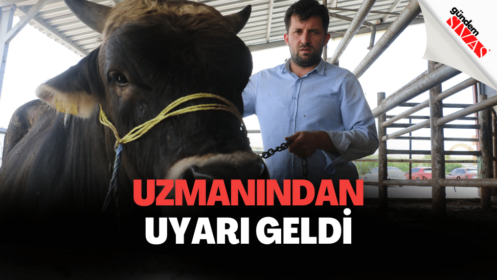 Uzmanından Uyarı Geldi, Şap ve Tüberküloz’a Dikkat