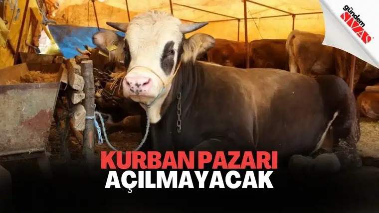 Kurbanda kullanılan bir inek, ahşap bir kafeste duruyor.