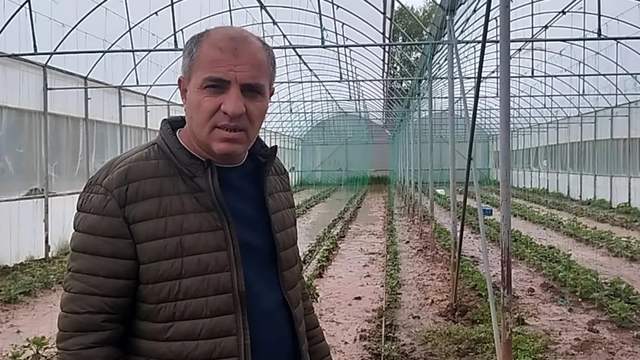 Sivas’ta Kösedağ Deresi Taştı: Seralar ve Tarım Arazileri Sular Altında Kaldı
