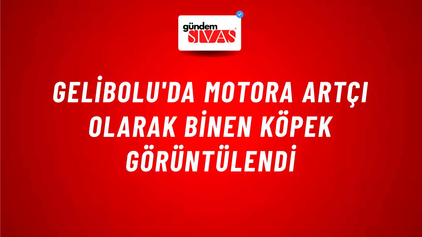 Gelibolu'da Motora Artçı Olarak Binen Köpek Görüntülendi