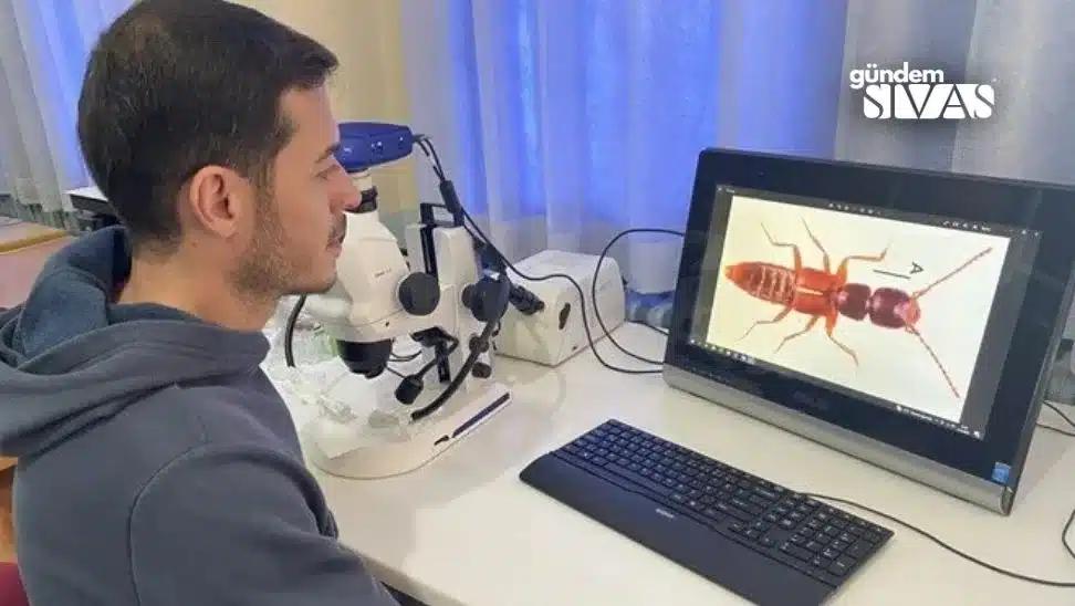 Sivas'ta Keşfedilen Yeni Böcek Türü
