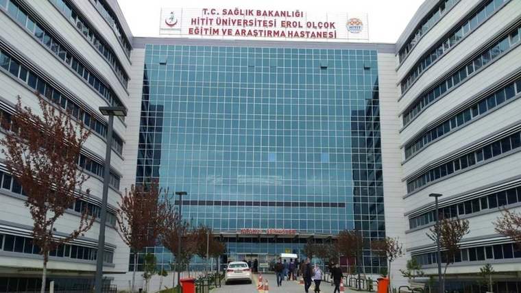 Çorum'da başıboş köpek dehşeti: Üç kişi yaralandı - Birlik Haber Ajansı