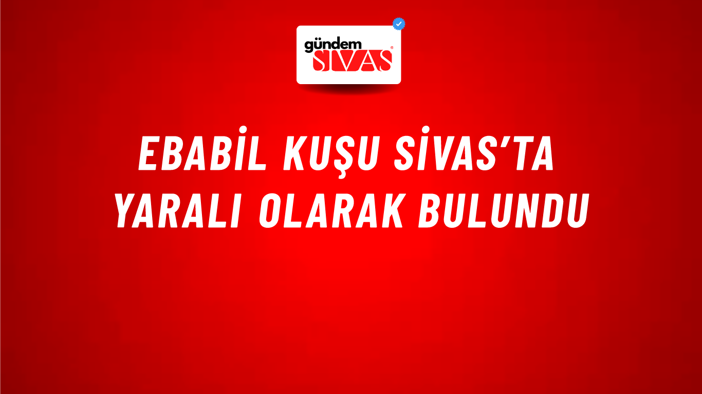 Ebabil Kuşu Sivas’ta Yaralı Olarak Bulundu