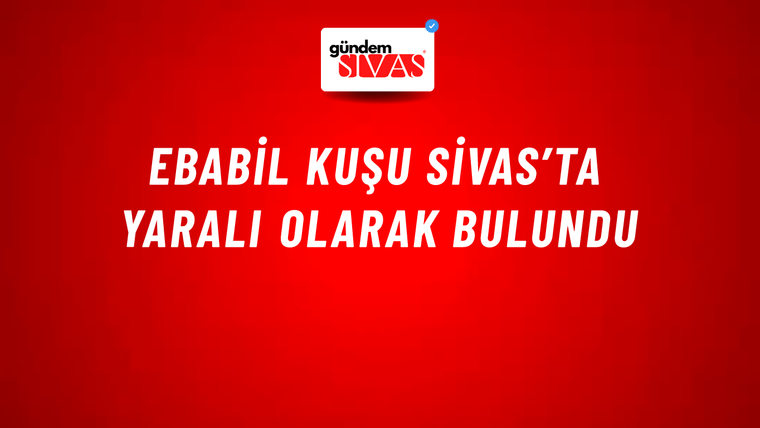 Ebabil Kuşu Sivas’ta Yaralı Olarak Bulundu