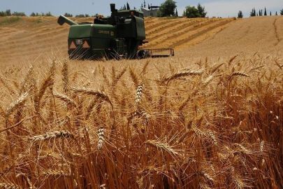 TARSİM’den çiftçiye indirim desteği - Birlik Haber Ajansı