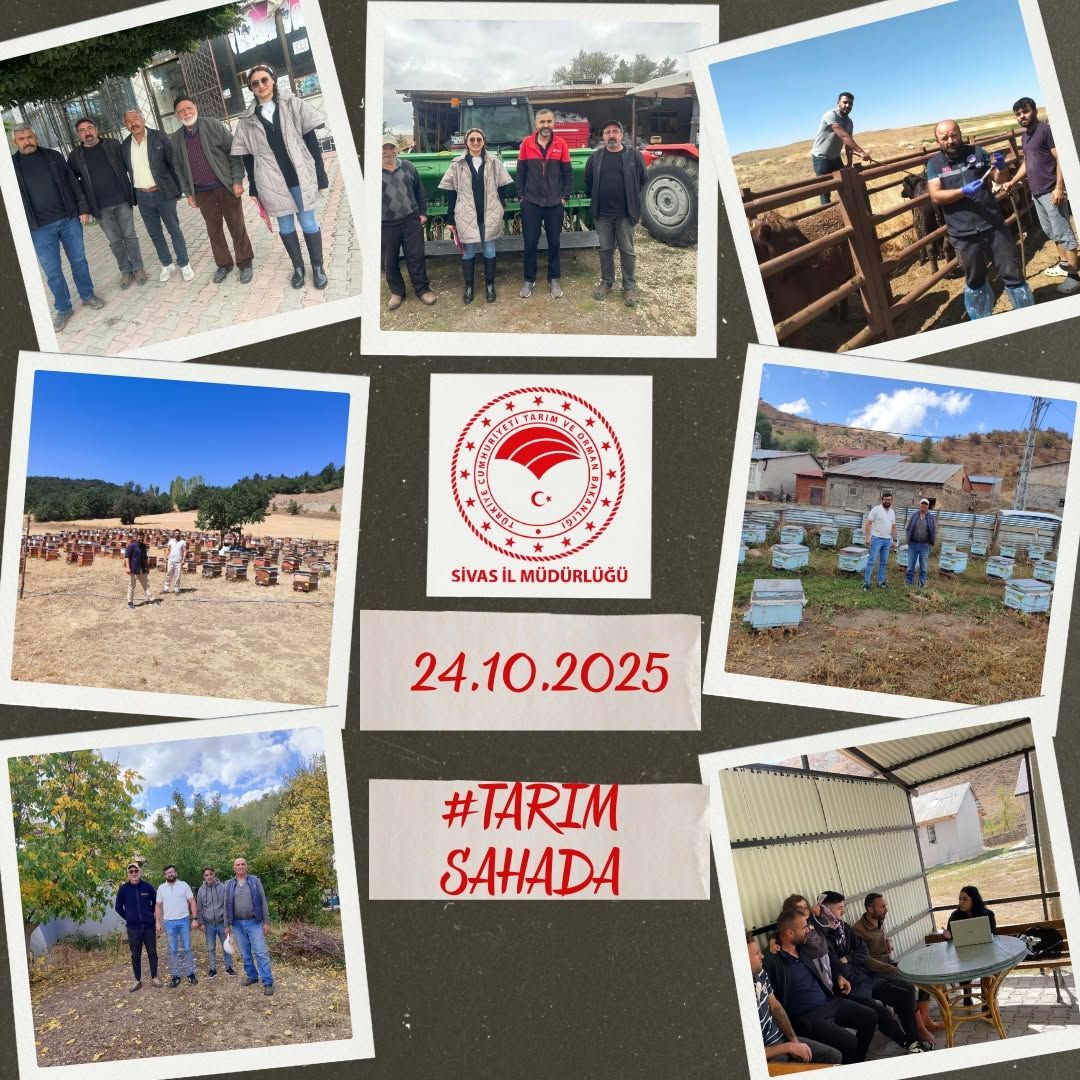 Kolajda tarım arazileri, arı kovanları ve gruplar görülüyor; ortada Sivas İl Müdürlüğü logosu yer alıyor.