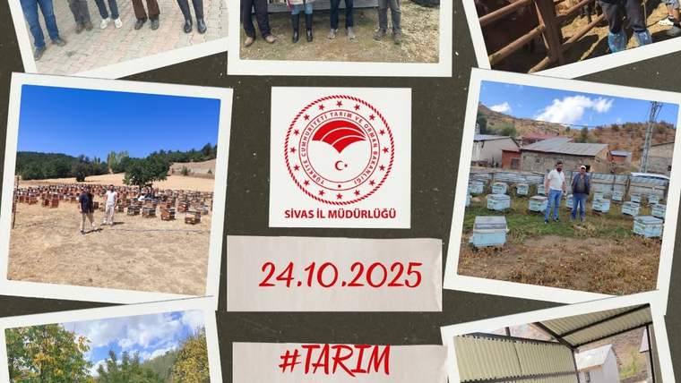 Kolajda tarım arazileri, arı kovanları ve gruplar görülüyor; ortada Sivas İl Müdürlüğü logosu yer alıyor.