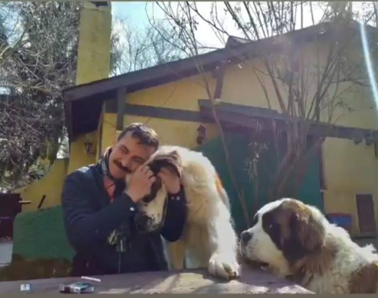Sarı bir yapının önünde, bir kişi iki büyük köpekle ilgilenirken masada başka bir köpek bekliyor.