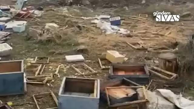 Gece Yarısı Arı Kovanlarına Saldırdı