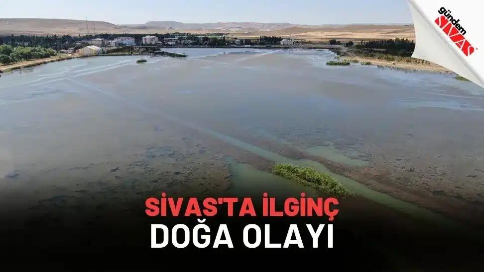 Sivas'ta bir göl veya su birikintisi, çevresinde yeşil alanlar ve binalar görünmekte.