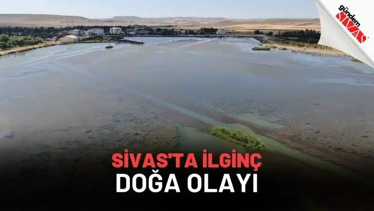 Sivas'ta bir göl veya su birikintisi, çevresinde yeşil alanlar ve binalar görünmekte.