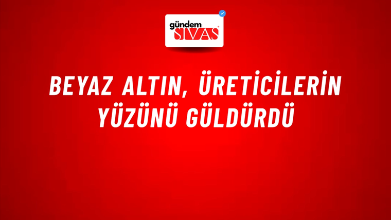 Beyaz altın, üreticilerin yüzünü güldürdü