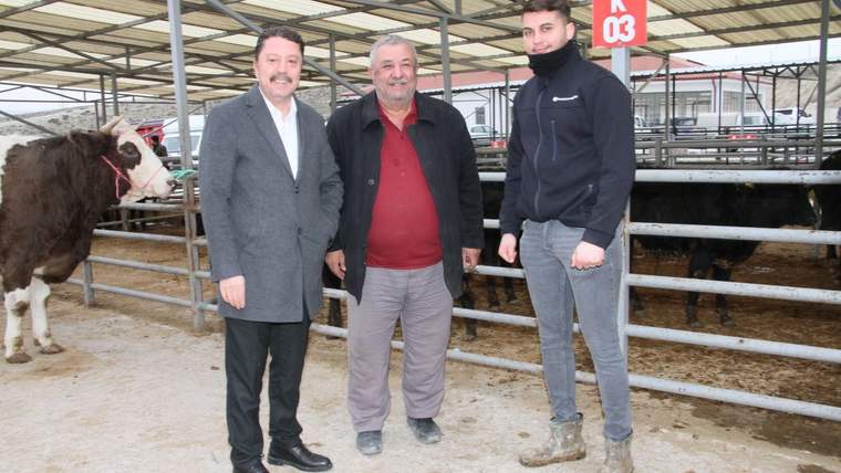Kapalı hayvan pazarında, metal bölmelerin önünde duran üç kişi ve yanlarında görünen bir sığır