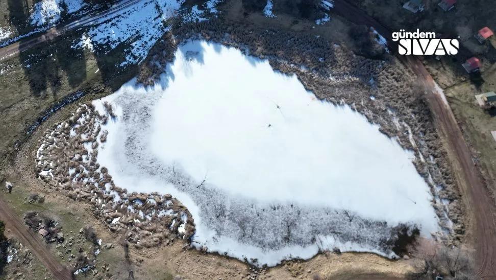 Sivas Zara'da Şaşırtan Olay