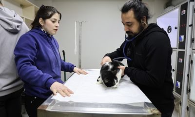 Sivas’taki Yangında 26 Kedi Hayatını Kaybetti: Dumandan Etkilenen 11 Kedi Gönüllü Veterinerlerin Yoğun Bakımında