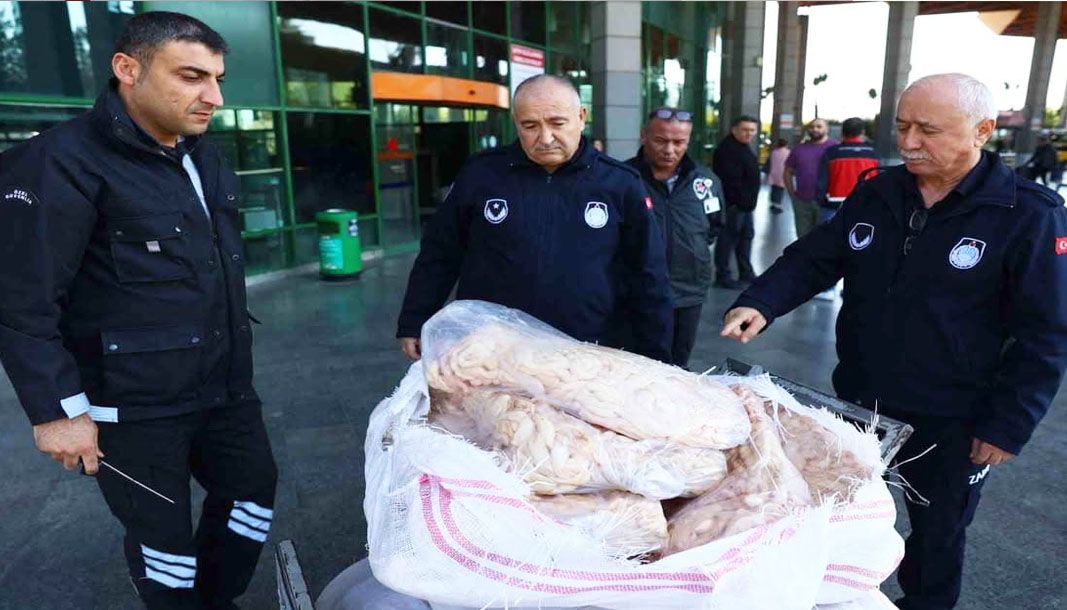 Şanlıurfa’dan Antalya’ya gönderilen 300 kilogram sakatata el konuldu - Birlik Haber Ajansı