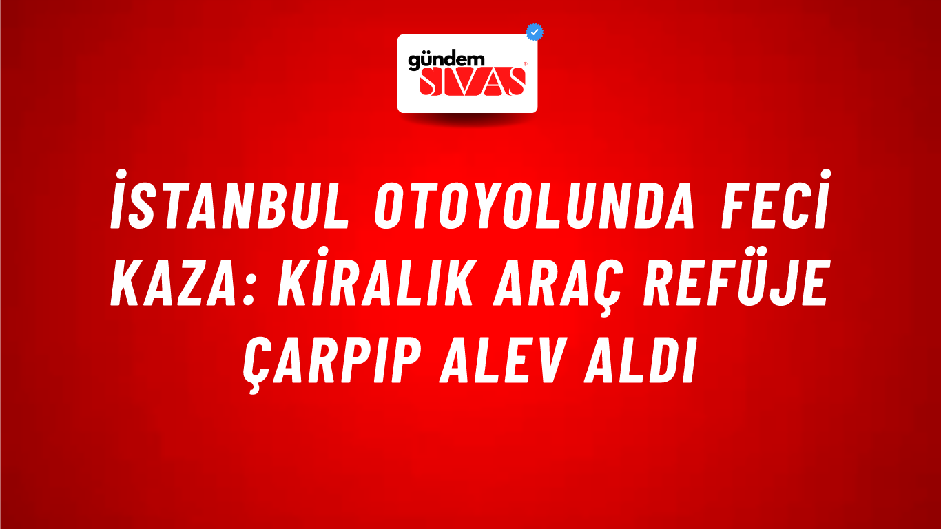 İstanbul Otoyolunda Feci Kaza: Kiralık Araç Refüje Çarpıp Alev Aldı