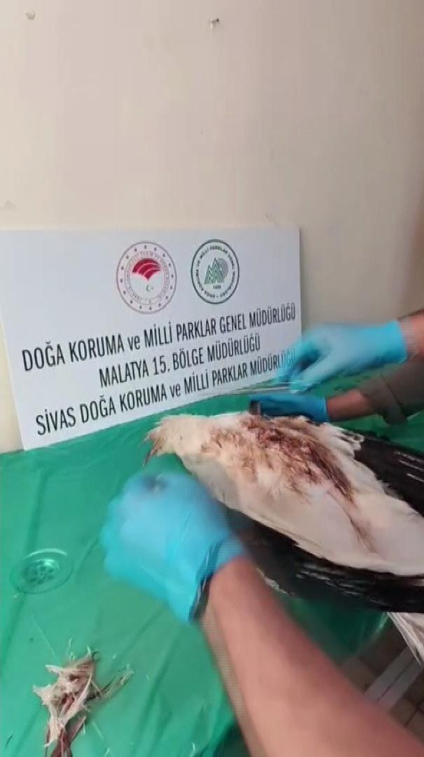 "kendi başına yaşamını sürdürebilmesi" için tedavi edildi
